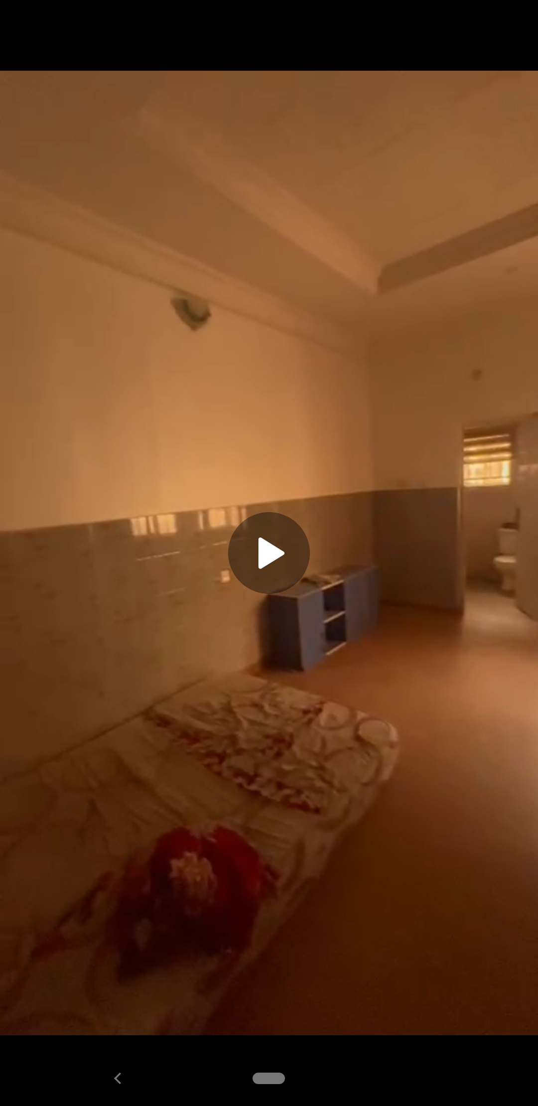 Screenshot_20260211-185022