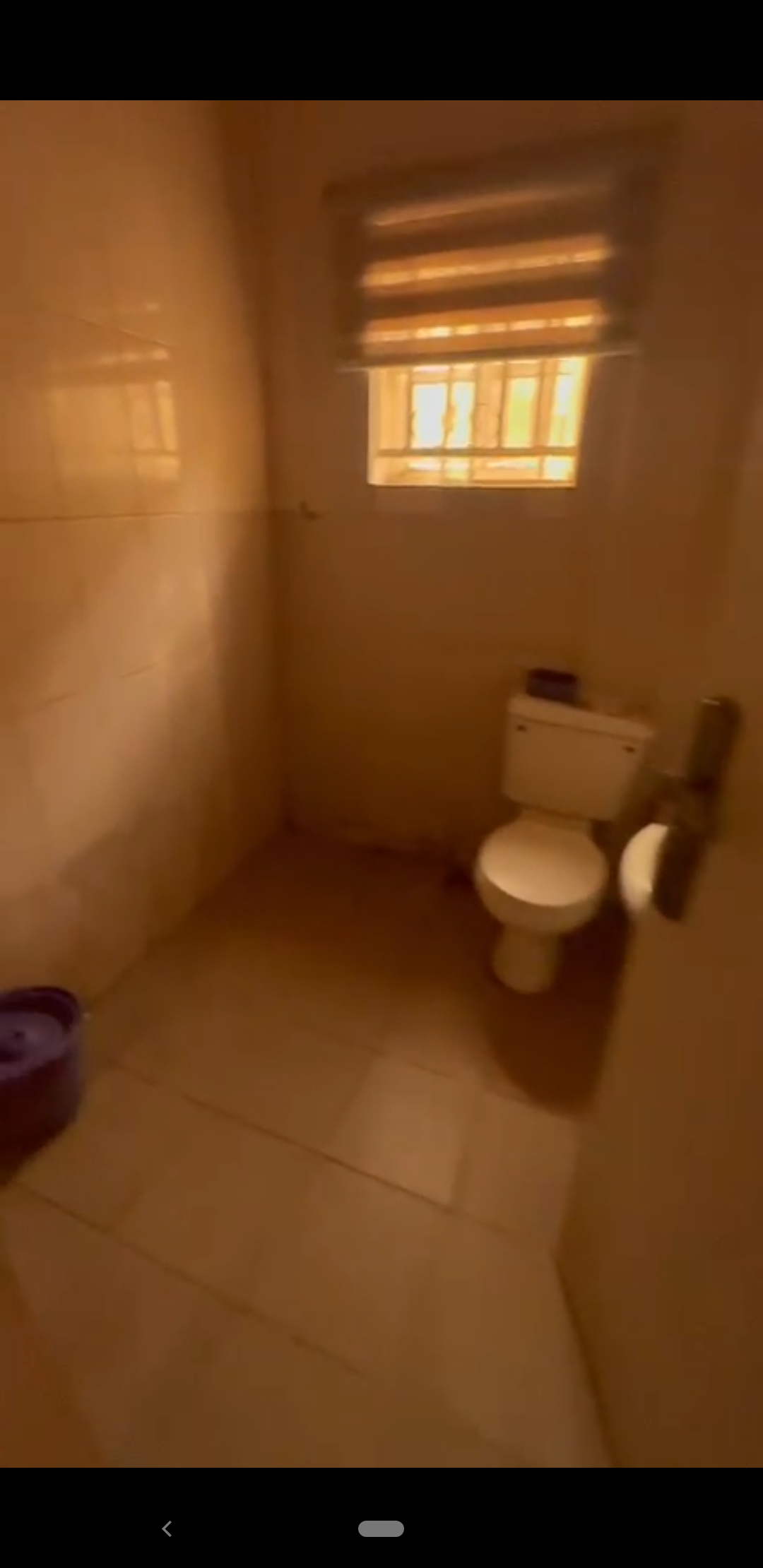 Screenshot_20260211-185033